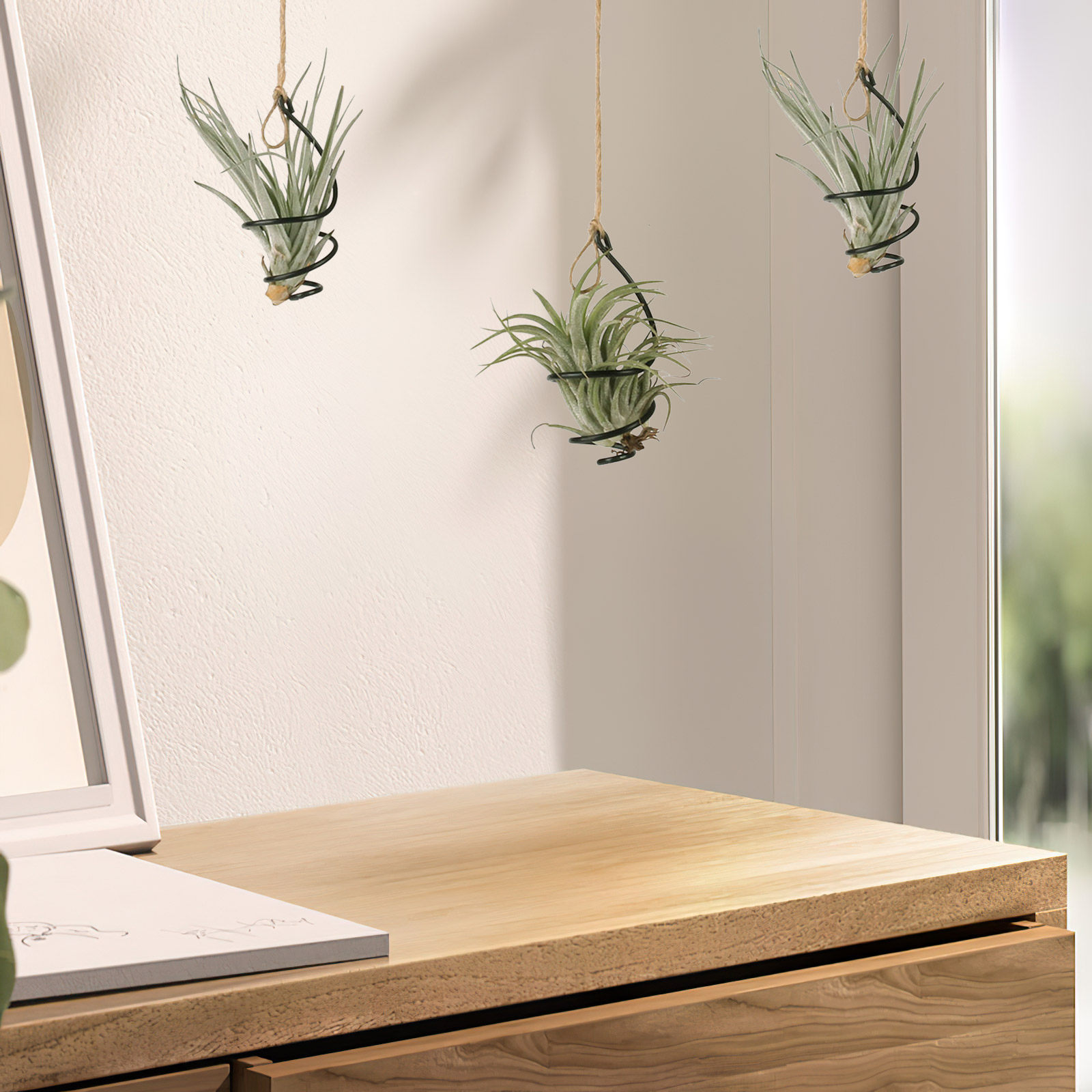 Air Plant Tillandsia - 12Set Hanging Air Plant Holders Spiral