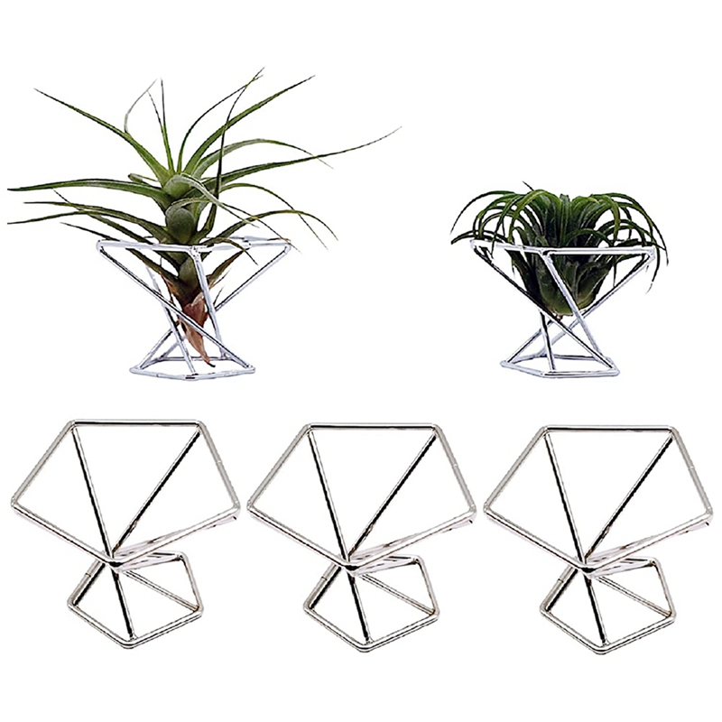 Pack 5 Air Plant Holder Air Pl - Air Plant Tillandsia ulasan dan harga