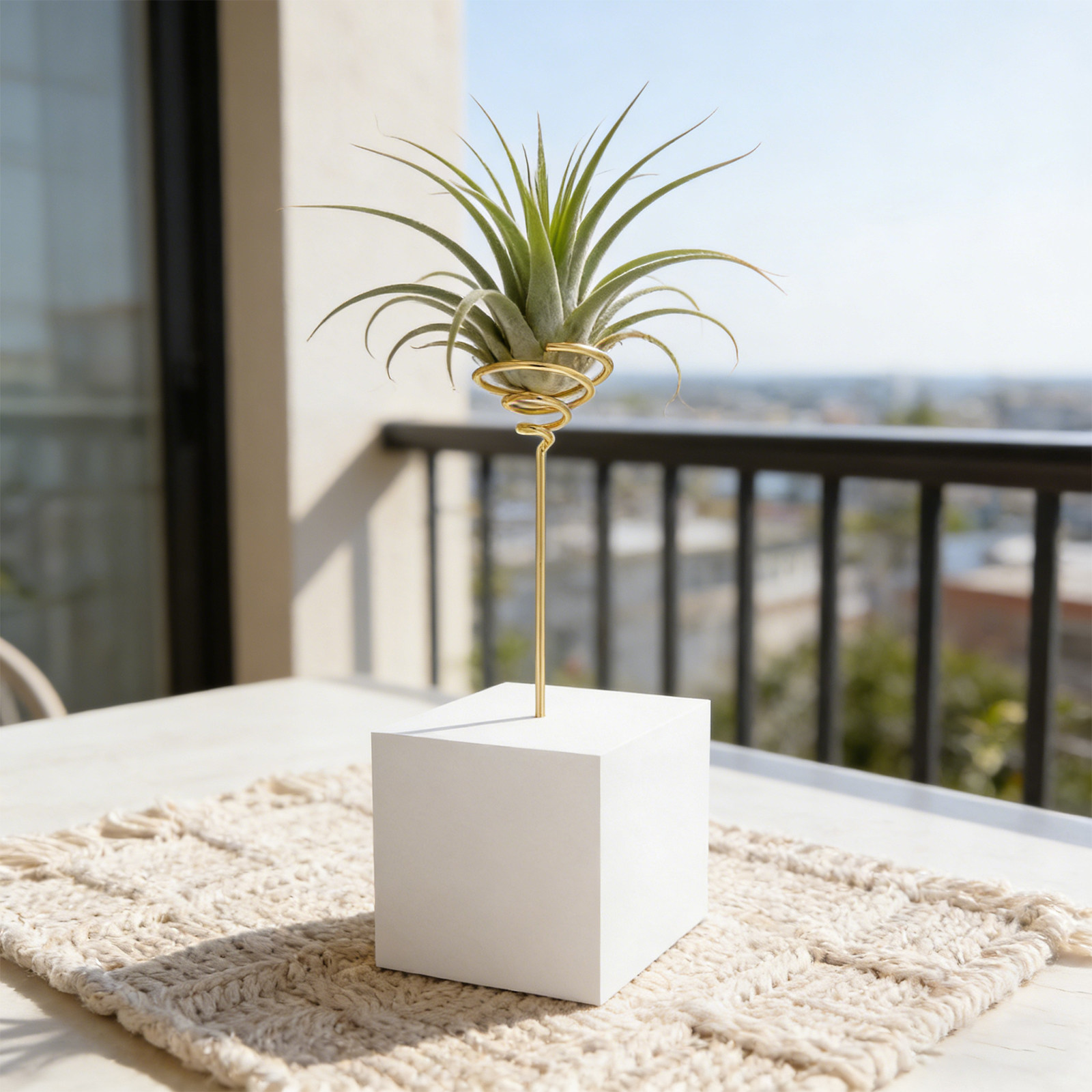 6Pcs Electroplated Metal Air P - Air Plant Tillandsia ulasan dan harga