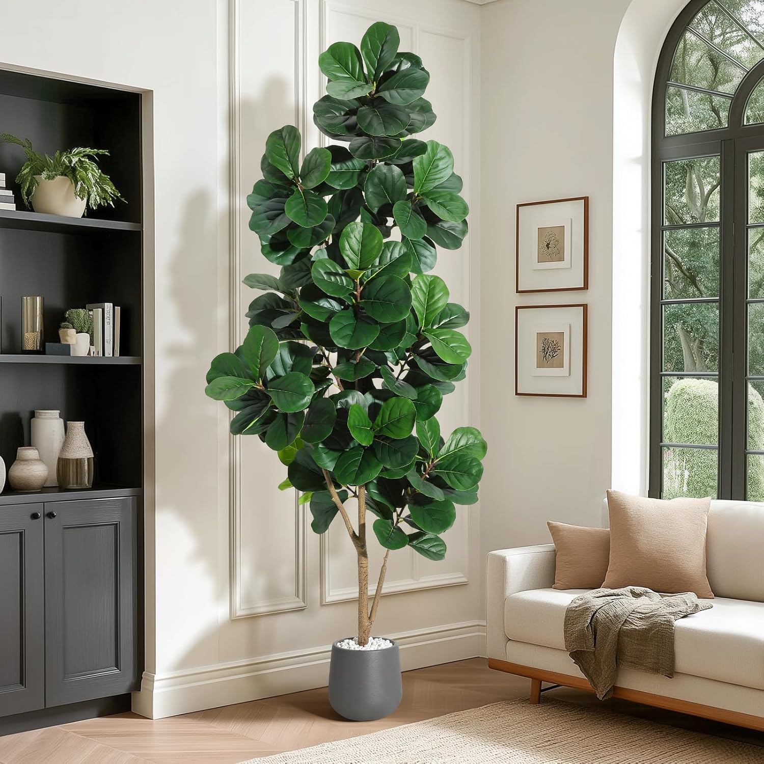 4FT/5FT/6FT/7FT Fiddle Leaf Fi - Fiddle Leaf Fig ulasan dan harga