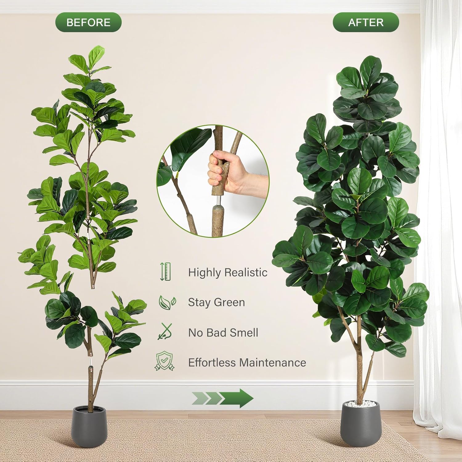 4FT/5FT/6FT/7FT Fiddle Leaf Fi - Fiddle Leaf Fig ulasan dan harga