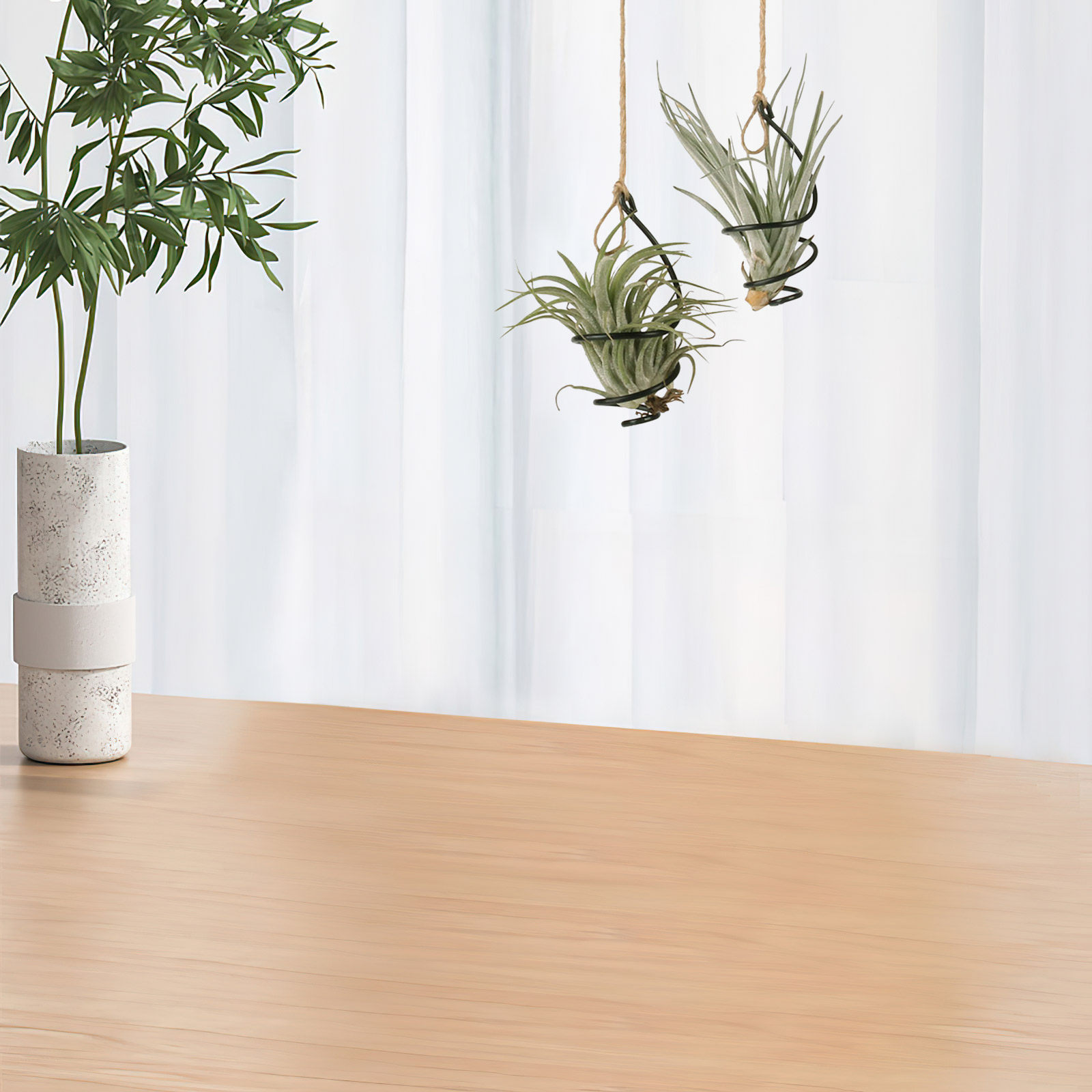12Set Air Plant Holder Spiral  - Air Plant Tillandsia ulasan dan harga