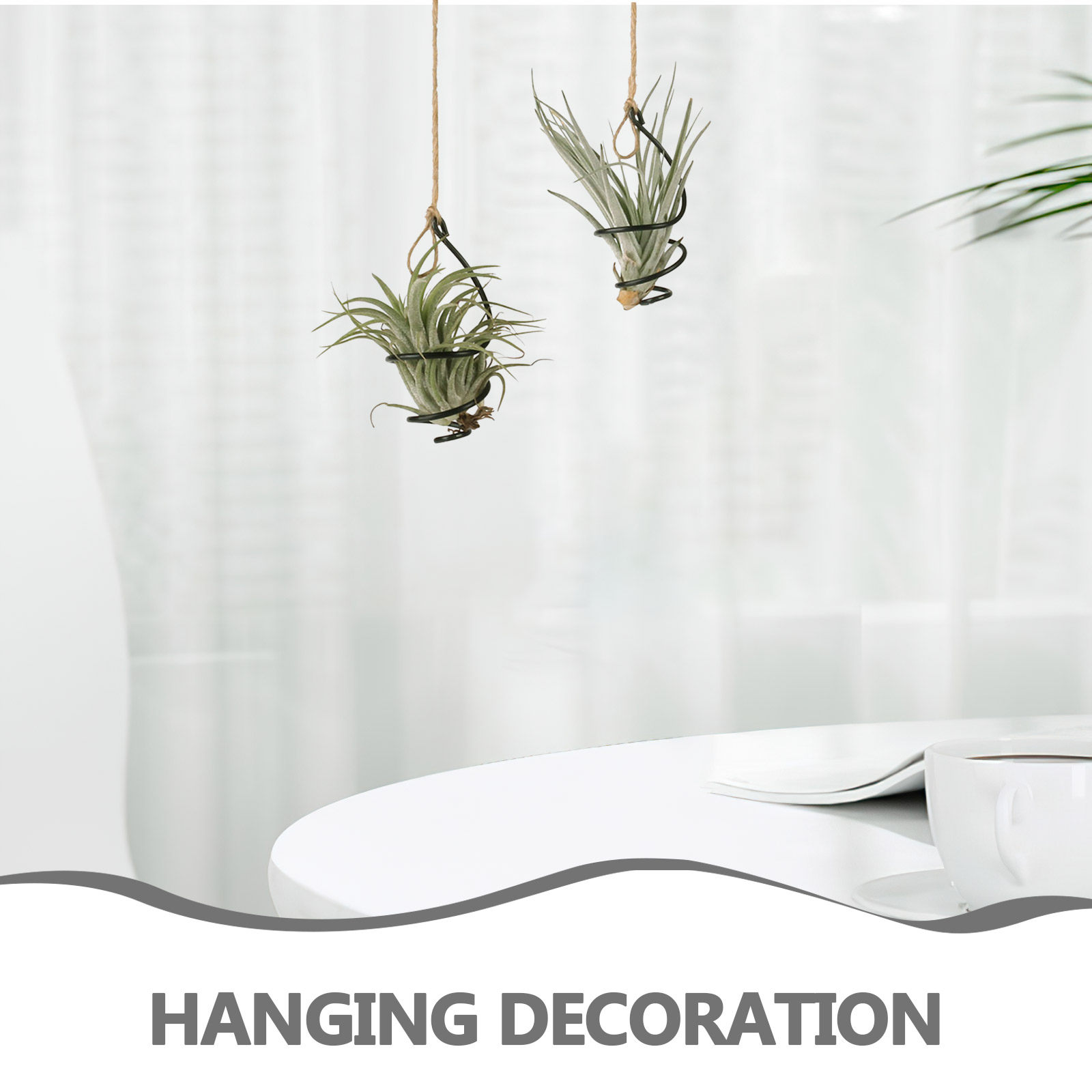 12Set Air Plant Holder Spiral  - Air Plant Tillandsia ulasan dan harga