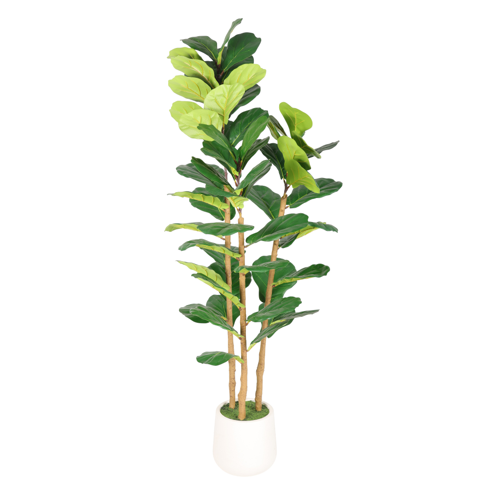 5.2FT Artificial Fiddle Leaf F - Fiddle Leaf Fig ulasan dan harga